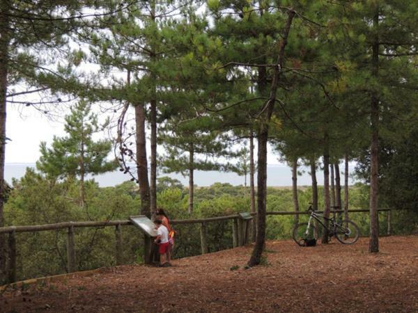 Camping Le Bois Verdon 생장드몽 외부 사진